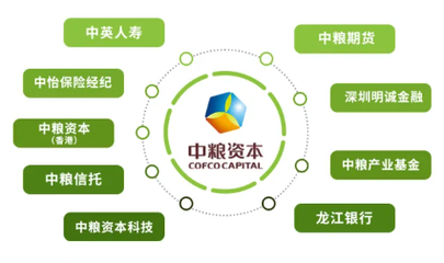 福滿佳2.0紅利實(shí)現(xiàn)率超預(yù)期，2025年中英人壽分紅率突破3.5%驚喜揭曉